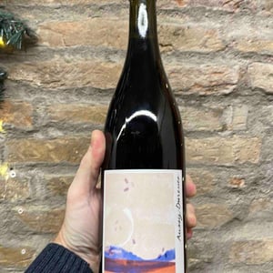 Auxey-Duresses - La Chaume des Lies - margaux-rivaux-lothar-galloo