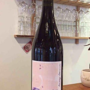 Auxey-Duresses - La Chaume des Lies - margaux-rivaux-lothar-galloo