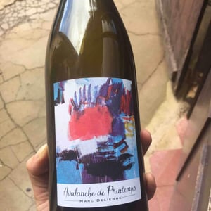 Avalanche de Printemps - Marc Delienne - marc-delienne
