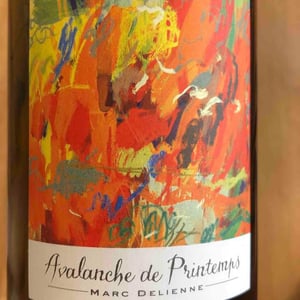 Avalanche de Printemps - Marc Delienne - marc-delienne