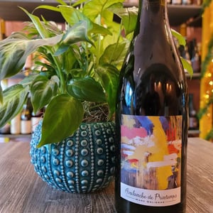 Avalanche de Printemps - Marc Delienne - marc-delienne