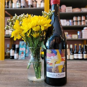 Avalanche de Printemps - Marc Delienne - marc-delienne