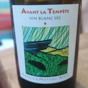 Mathieu Apffel - Camille & Mathieu Apffel - Avant La Tempête