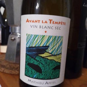 Mathieu Apffel - Camille & Mathieu Apffel - Avant La Tempête