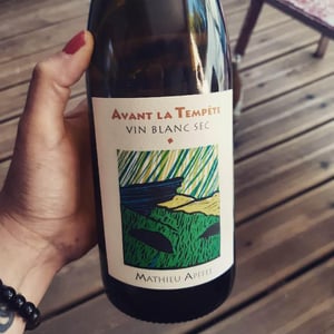 Avant La Tempête - Mathieu Apffel - Camille & Mathieu Apffel 