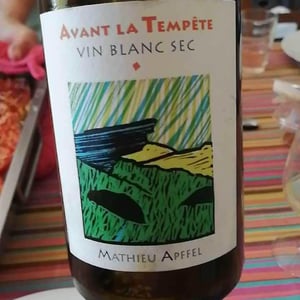 Mathieu Apffel - Camille & Mathieu Apffel - Avant La Tempête