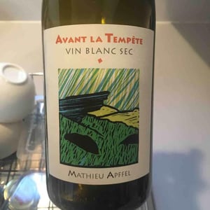 Mathieu Apffel - Camille & Mathieu Apffel - Avant La Tempête