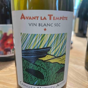 Avant La Tempête - Mathieu Apffel - camille-mathieu-apffel