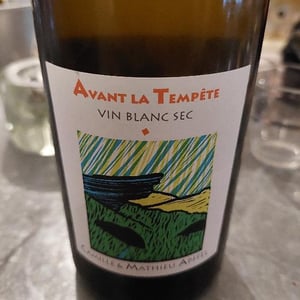 Mathieu Apffel - Camille & Mathieu Apffel - Avant La Tempête