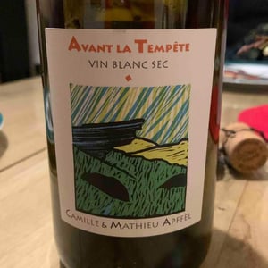 Mathieu Apffel - Camille & Mathieu Apffel - Avant La Tempête
