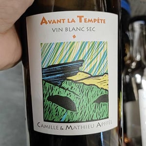 Mathieu Apffel - Camille & Mathieu Apffel - Avant La Tempête