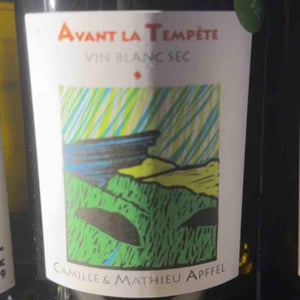 Avant La Tempête - Mathieu Apffel - Camille & Mathieu Apffel 