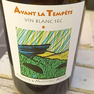 Mathieu Apffel - Camille & Mathieu Apffel - Avant La Tempête