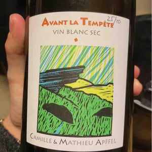 Mathieu Apffel - Camille & Mathieu Apffel - Avant La Tempête