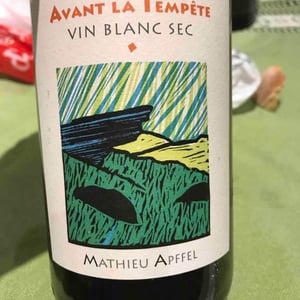 Avant La Tempête - Mathieu Apffel - Camille & Mathieu Apffel 