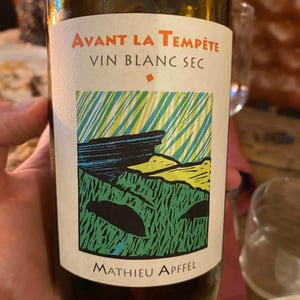 Avant La Tempête - Mathieu Apffel - Camille & Mathieu Apffel 