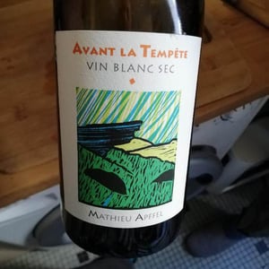 Mathieu Apffel - Camille & Mathieu Apffel - Avant La Tempête