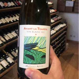 Avant La Tempête - Mathieu Apffel - camille-mathieu-apffel