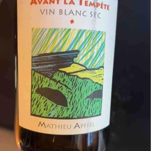 Avant La Tempête - Mathieu Apffel - camille-mathieu-apffel