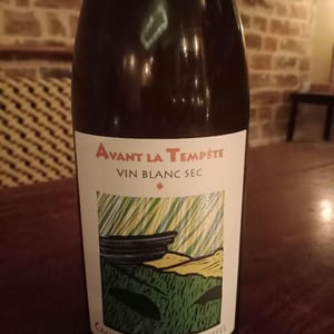 Avant La Tempête - Mathieu Apffel - camille-mathieu-apffel