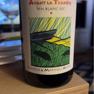 Mathieu Apffel - Camille & Mathieu Apffel - Avant La Tempête