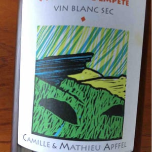 Mathieu Apffel - Camille & Mathieu Apffel - Avant La Tempête