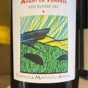 Avant La Tempête - Mathieu Apffel - Camille & Mathieu Apffel 