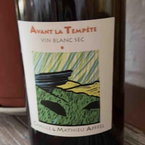 Mathieu Apffel - Camille & Mathieu Apffel - Avant La Tempête