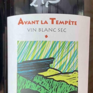 Avant La Tempête - Mathieu Apffel - camille-mathieu-apffel