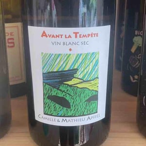 Avant La Tempête - Mathieu Apffel - Camille & Mathieu Apffel 