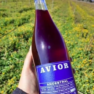 Avior Ancestral - Ve d'Avior - cati-ribot