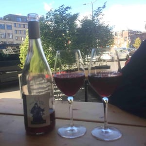 Avis de Vin Fort - Domaine Breton - catherine-pierre-breton