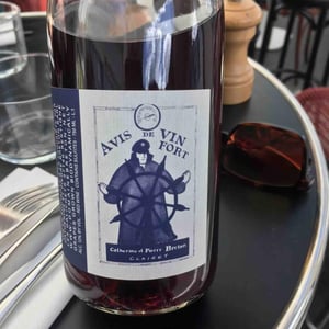 Avis de Vin Fort - Domaine Breton - catherine-pierre-breton