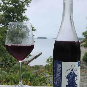 Avis de Vin Fort 2017