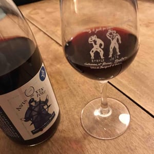 Avis de Vin Fort - Domaine Breton - catherine-pierre-breton