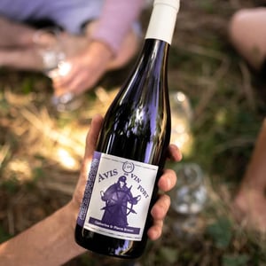 Avis de Vin Fort - Domaine Breton - catherine-pierre-breton