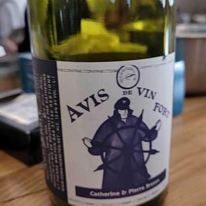 Avis de Vin Fort - Domaine Breton - catherine-pierre-breton