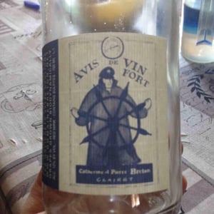 Avis de Vin Fort - Domaine Breton - catherine-pierre-breton