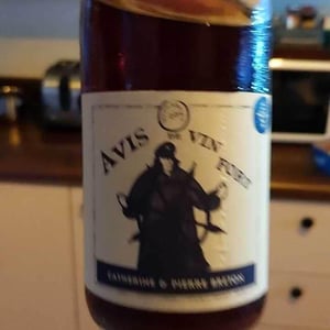 Avis de Vin Fort - Domaine Breton - catherine-pierre-breton