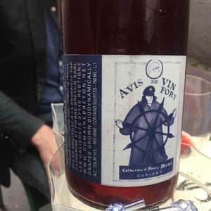 Avis de Vin Fort - Domaine Breton - catherine-pierre-breton