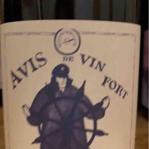 Avis de Vin Fort - Domaine Breton - catherine-pierre-breton