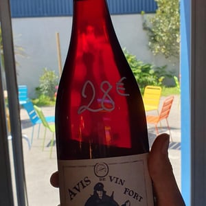 Avis de Vin Fort - Domaine Breton - catherine-pierre-breton