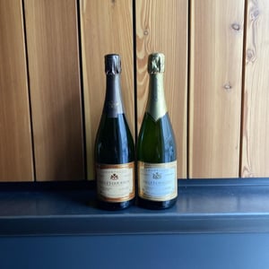 Avize Grand Cru Blanc de Blancs - Domaine Fallet-Gourron - sylvie-fallet -2010