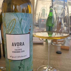 AVORA Falerio DOC 2019 - Vigneti Vallorani - Rocco Vallorani
