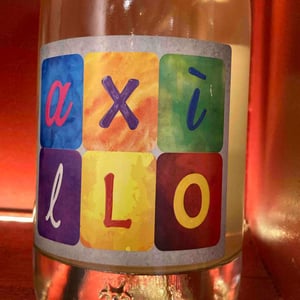 Axillo 2022 - Andrea Bruzzone - Andrea Bruzzone -2022