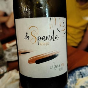 Ayur - La Spanda - virginie-maignien