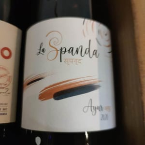Ayur - La Spanda - virginie-maignien