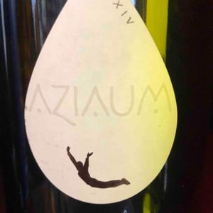 Aziaum, Jardin à la Boulaudière - Le Sot de l'Ange - Angélique & Quentin Bourse 