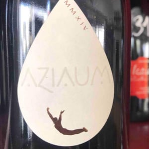 Aziaum, Jardin à la Boulaudière - Le Sot de l'Ange - Angélique & Quentin Bourse 