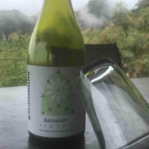 Azumbre - Cava Garambullo - branko-natalia-pjanic